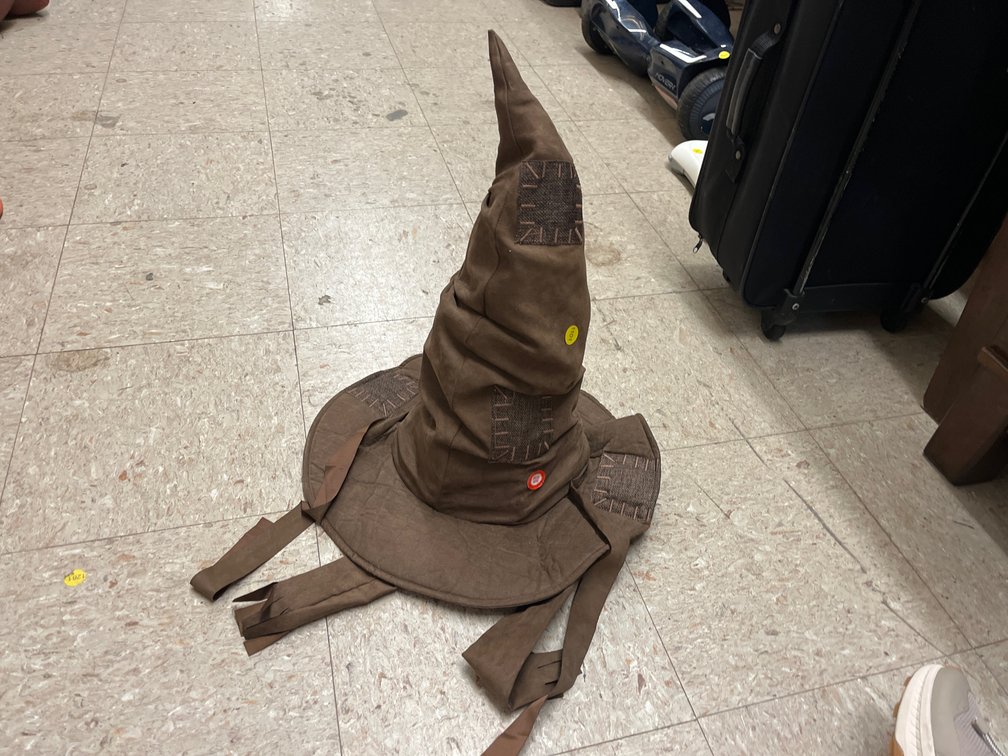 HARRY POTTER TALKING SORTING HAT