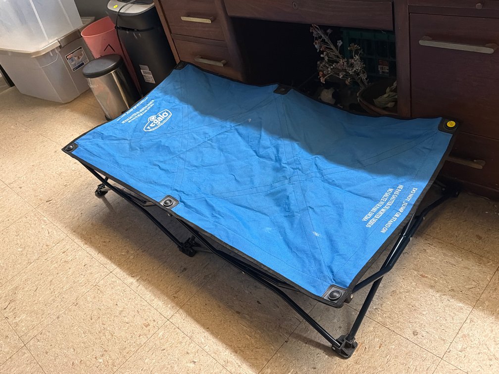 REGALO PORTABLE TODDLER BED