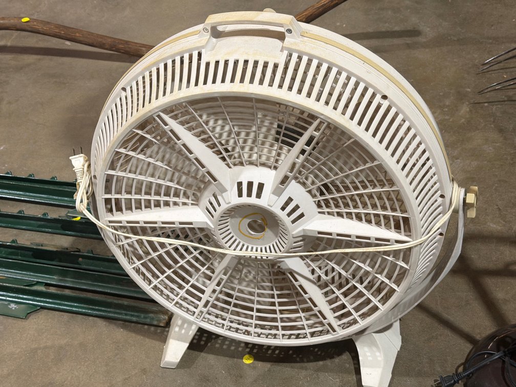 FAN