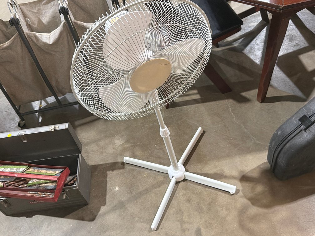 FAN
