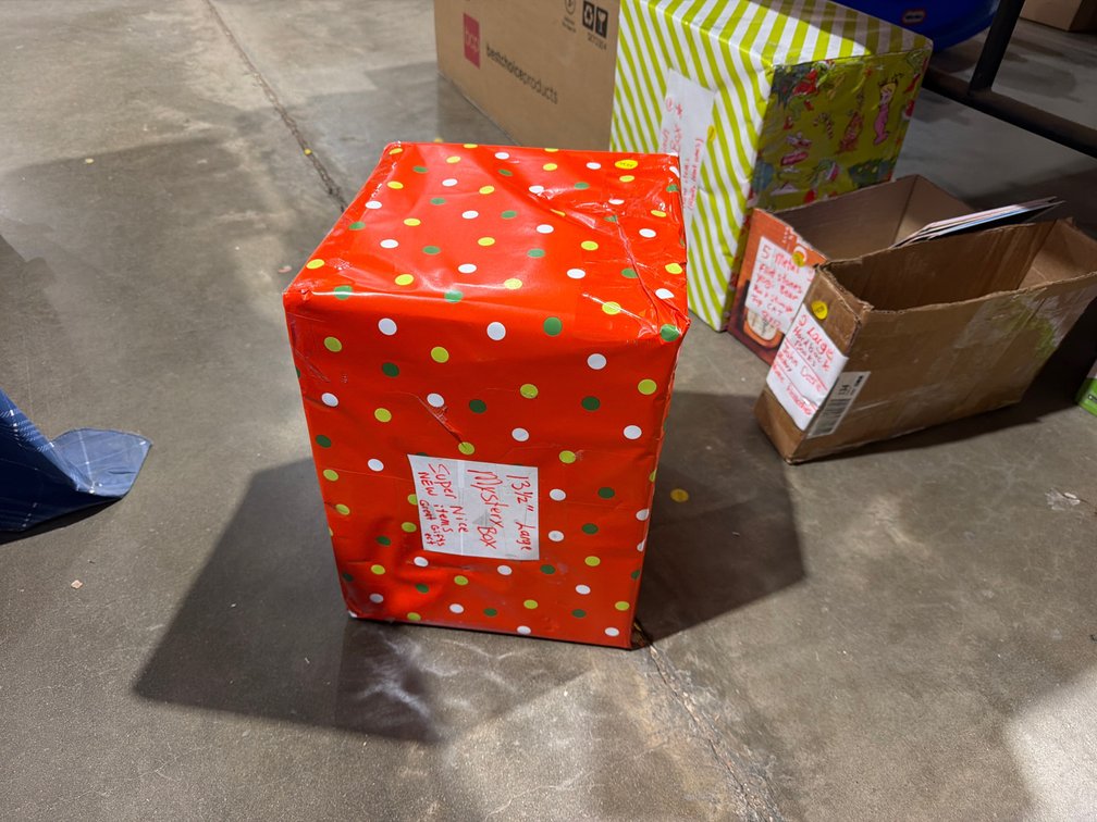 13.5” MYSTERY BOX