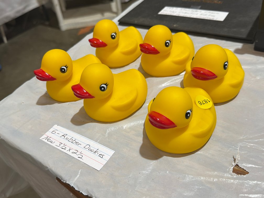 6 NEW RUBBER DUCKS