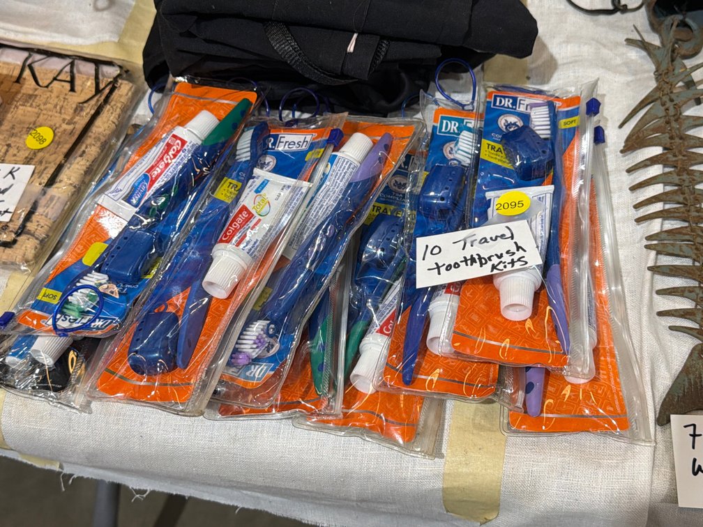 (10) TRAVEL TOOTHBRUSH KITS