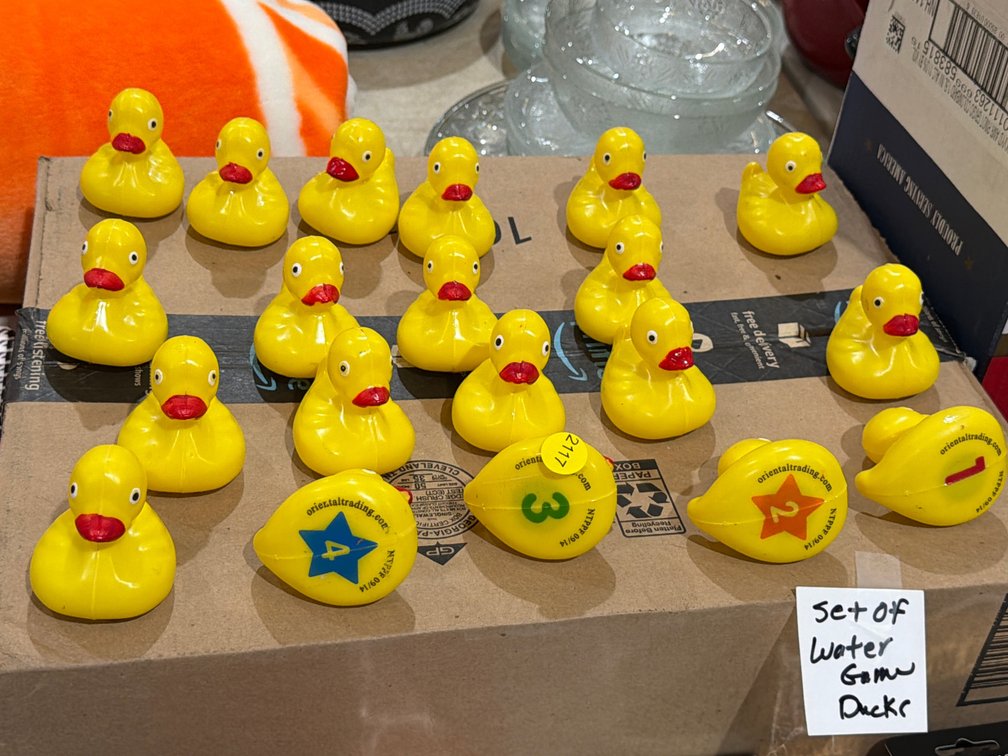 SET OF WATER GAME DUCKS
