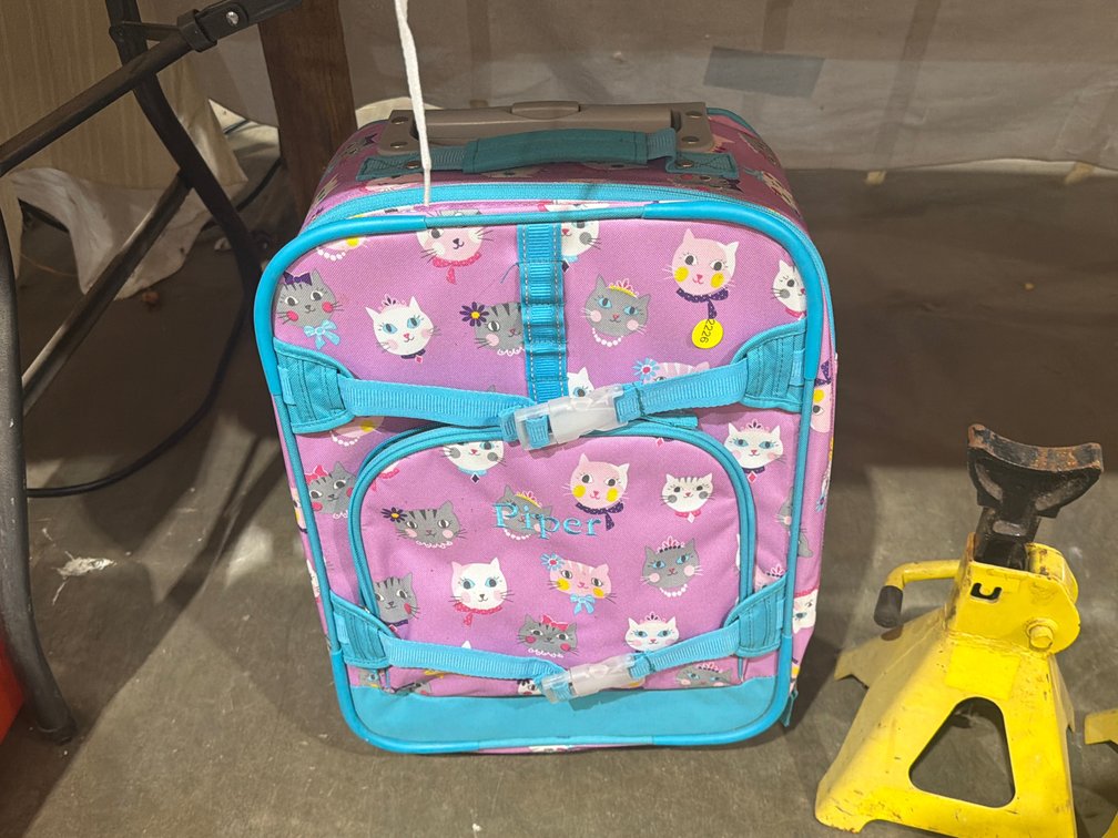 CAT SUITCASE