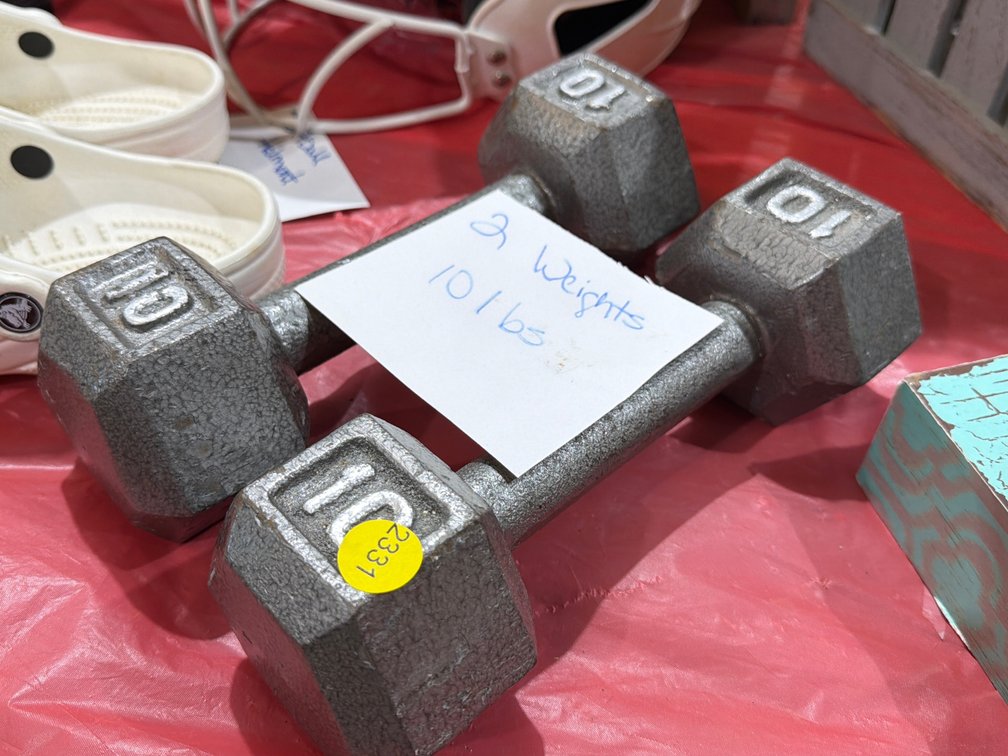 (2) 10LB WEIGHTS