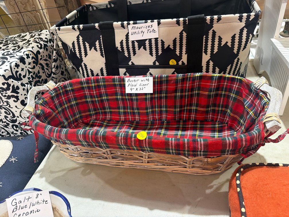 BASKET WITH PLAOD LINER