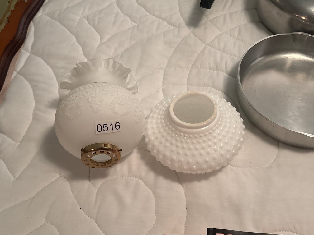 2 LAMP GLOBES
