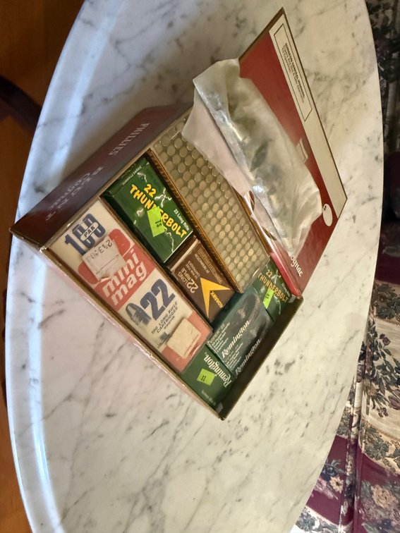 LOT OF 22 AMMO
