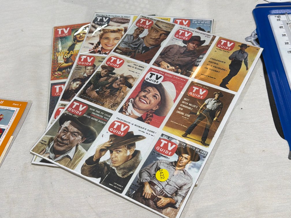 TV GUIDE ADVERTISEMENTS