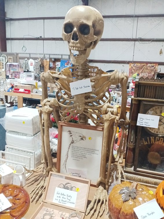 7FT TALL SKELETON