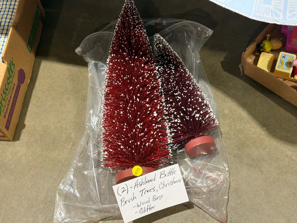 2 ASHLAND BOTTLE BRUSH TREES