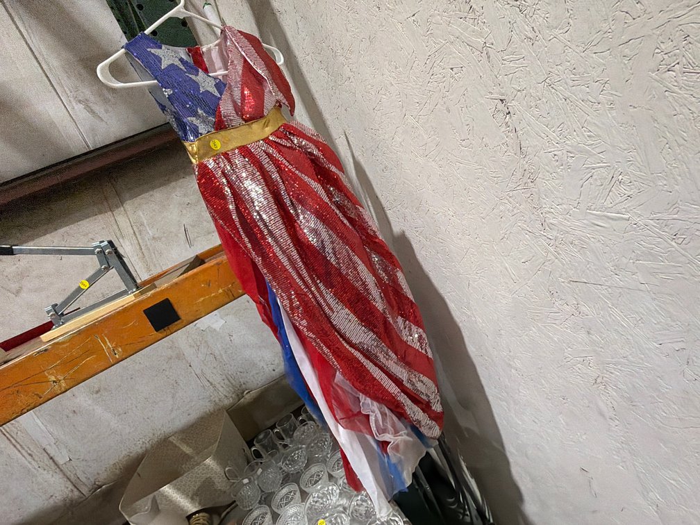 AMERICAN FLAG DRESS SIZE 8