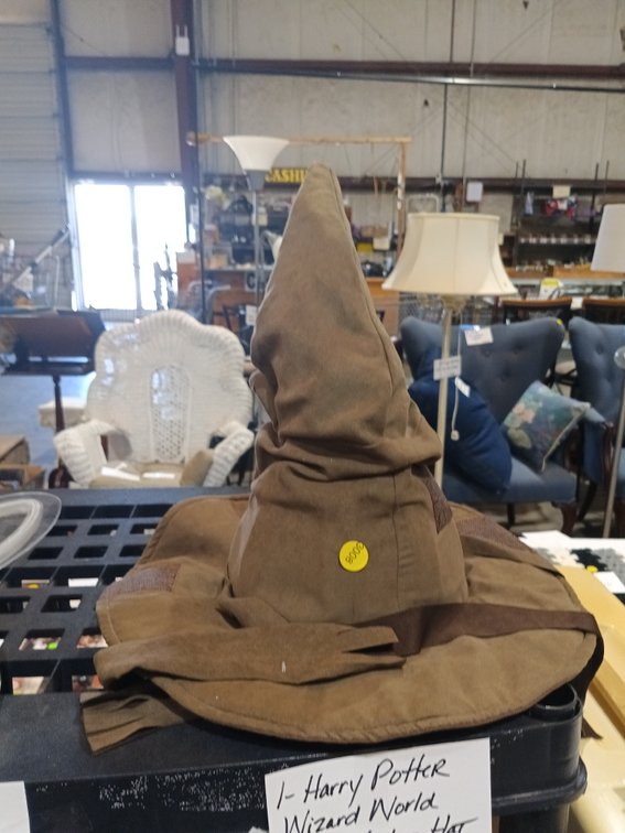 HARRY POTTER SORTING HAT