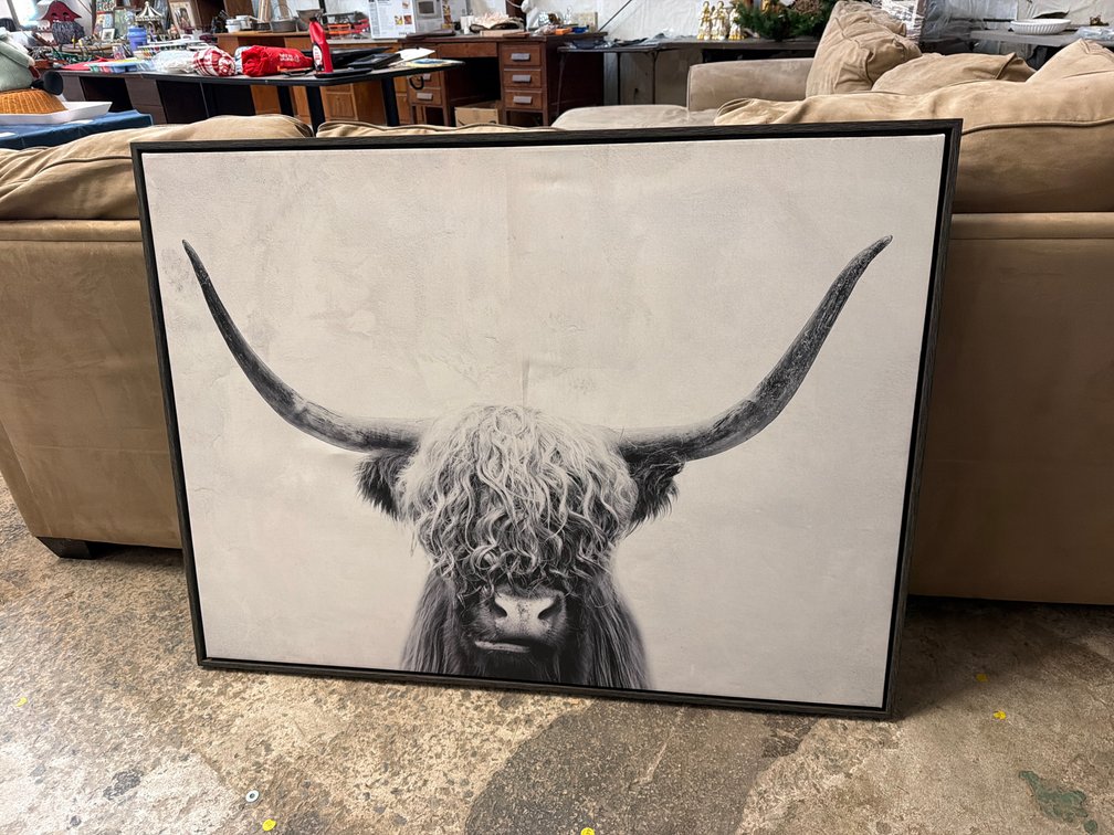 LARGE HIGHLAND COW CANVAS PRINT