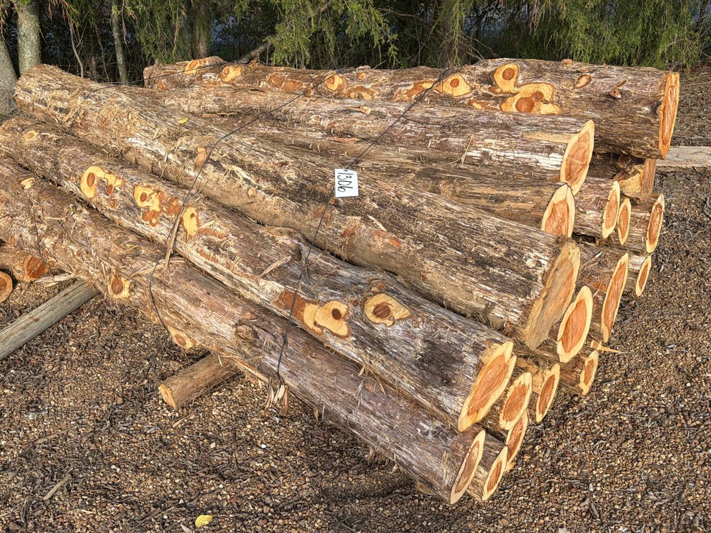 BUNDLE OF CEDAR LOGS