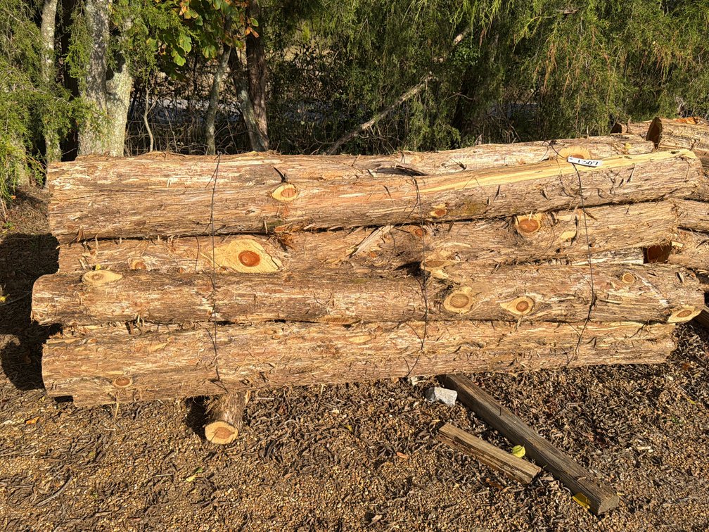 BUNDLE OF CEDAR LOGS