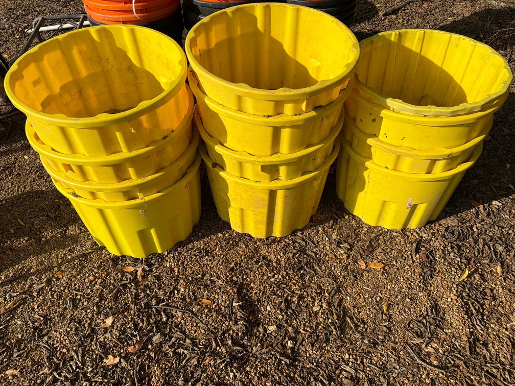 LOT OF YELLOW POLY TUBS