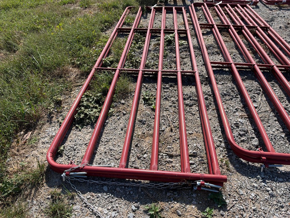 RED TARTER 14’ GATE, 2X BID
