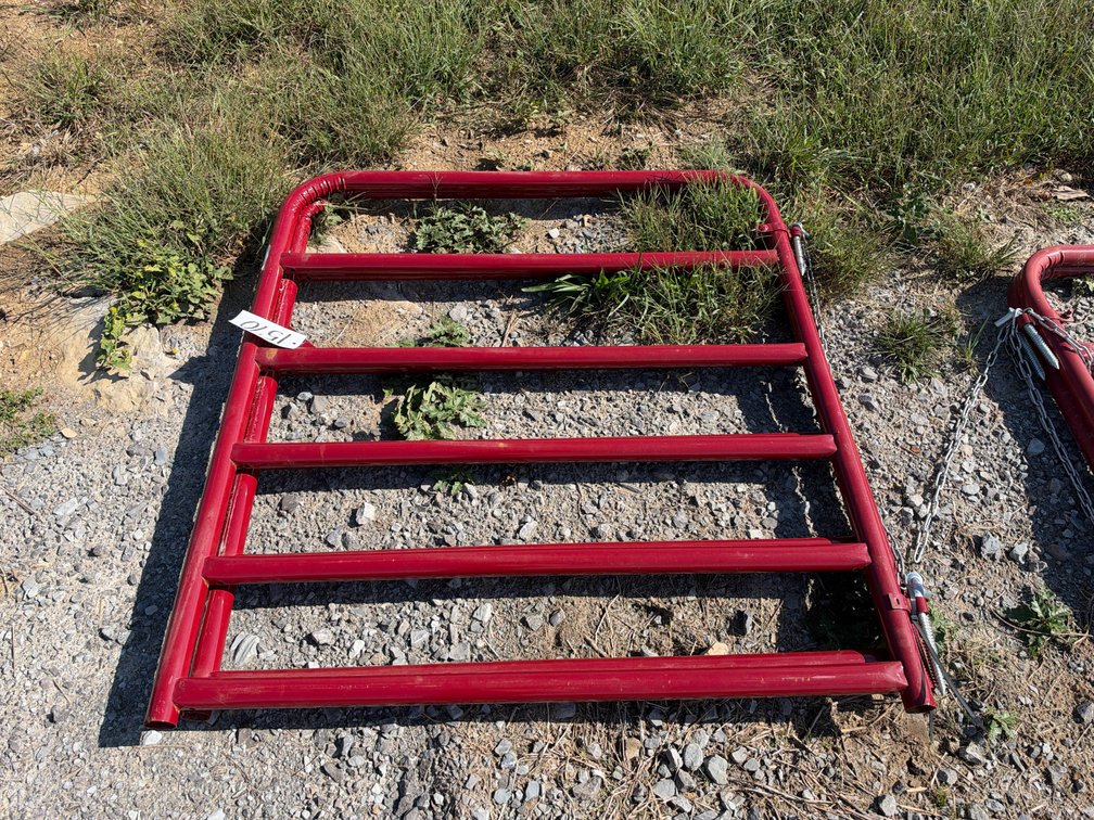 RED TARTER 4’ GATE, 2X BID