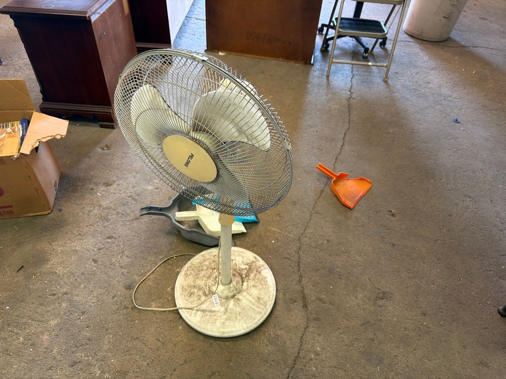 PELONIS FAN