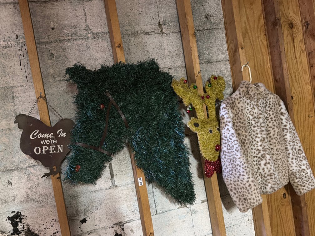 CHRISTMAS DECOR AND COAT