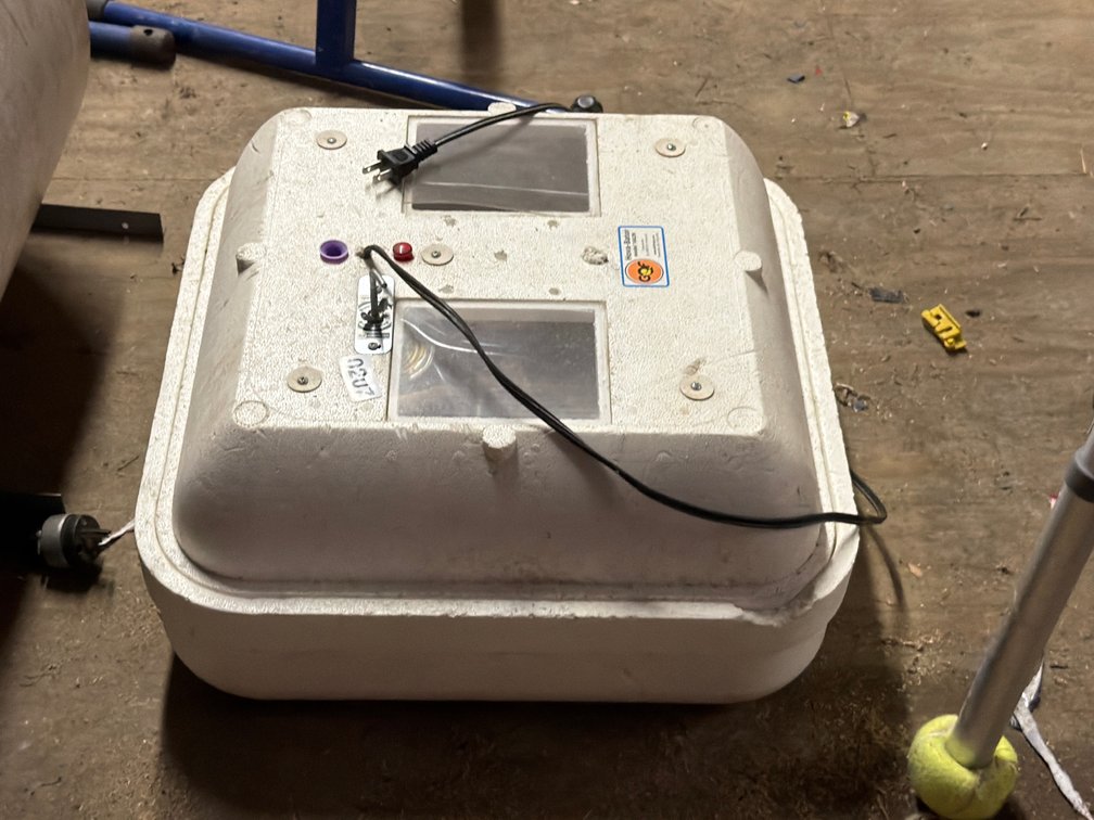 INCUBATOR