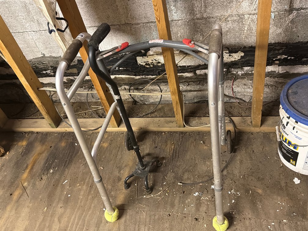 WALKER AND CANE