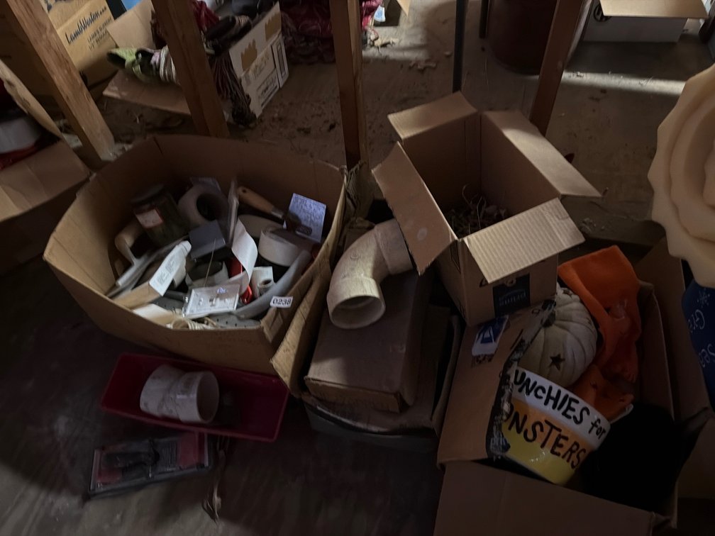 LOT OF MISC ITEMS: ELECTRICAL, HALLOWEEN, ETC
