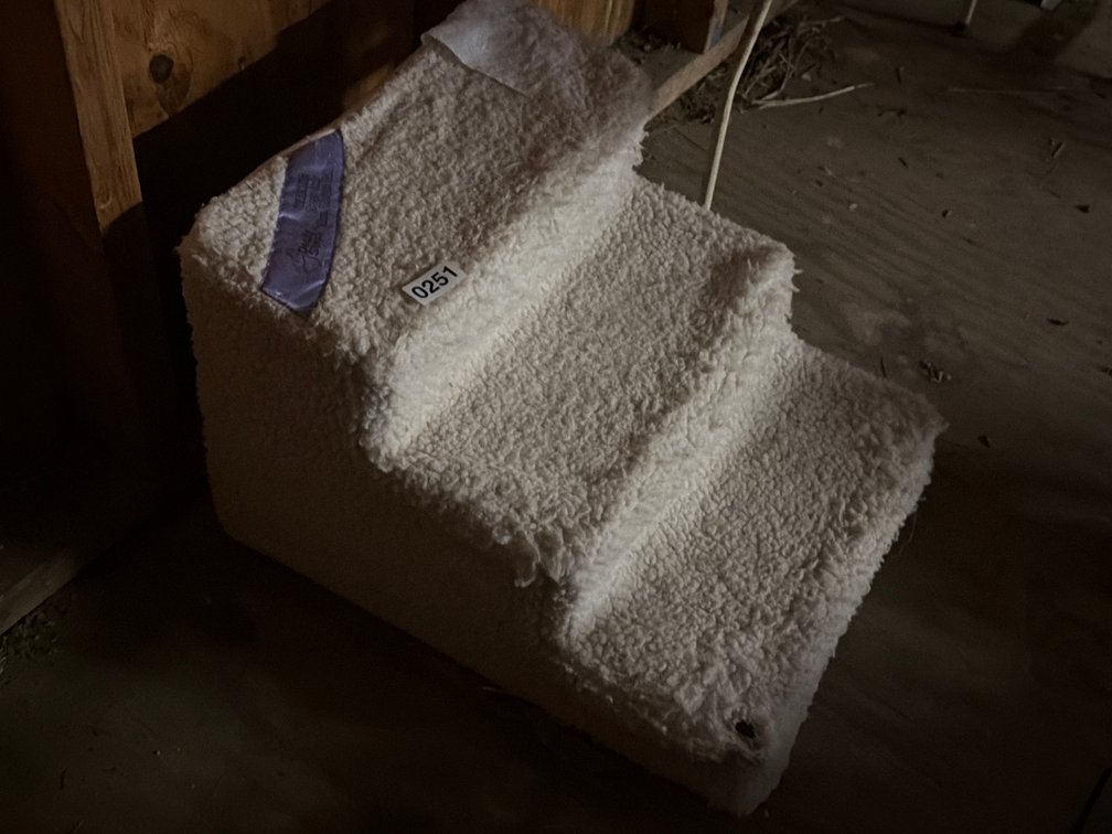 PET STEPS