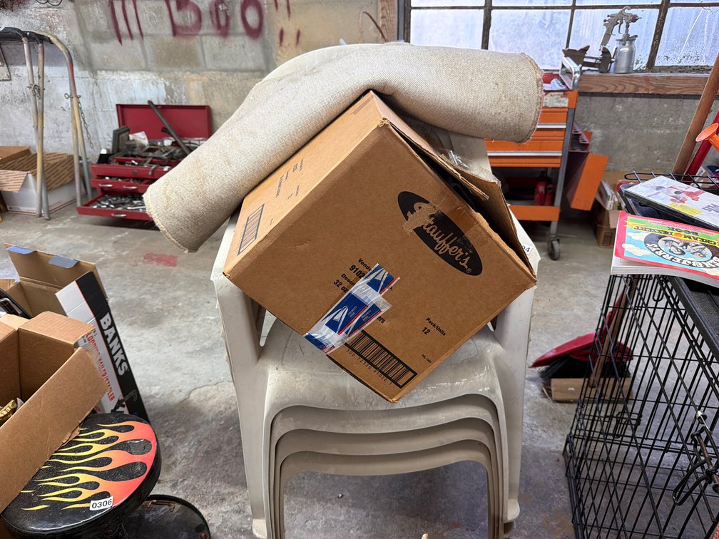 (4) PLASTIC CHAIRS, SMALL RUG, CURTAINS