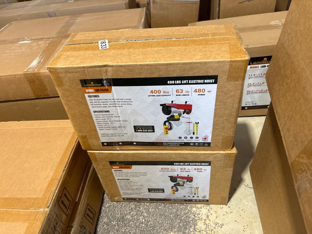 (2) ELECTRIC HOIST