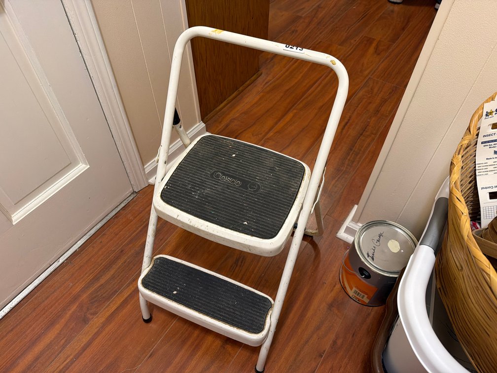 COSCO STEP LADDER