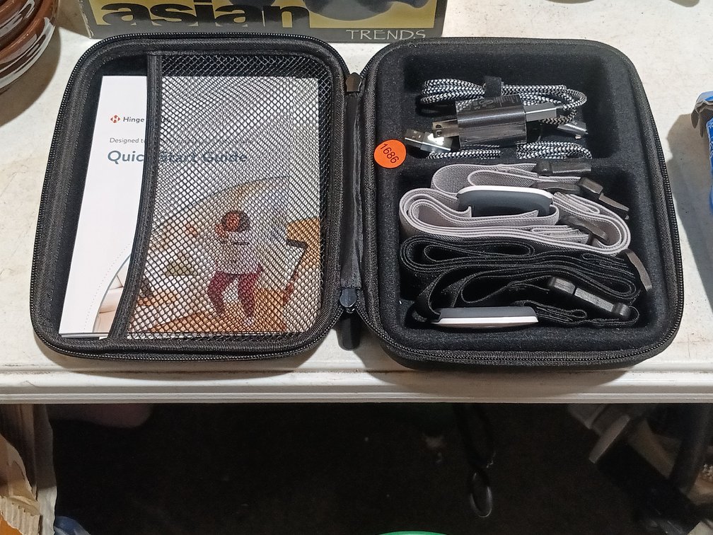 HINGE HEALTH EXERCISE BANDS