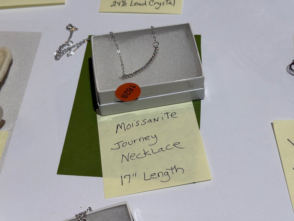 17” MOISSANITE JOURNEY NECKLACE