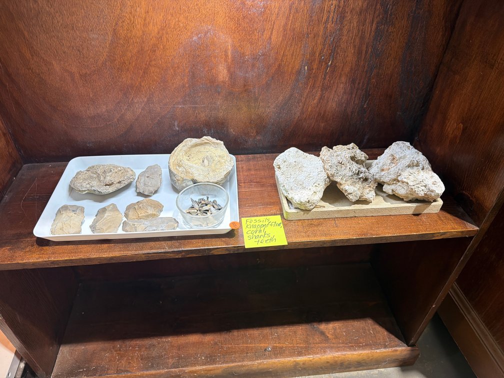 FOSSILS, KNAPPED FLINT, COARL, AND SHARKS TEETH