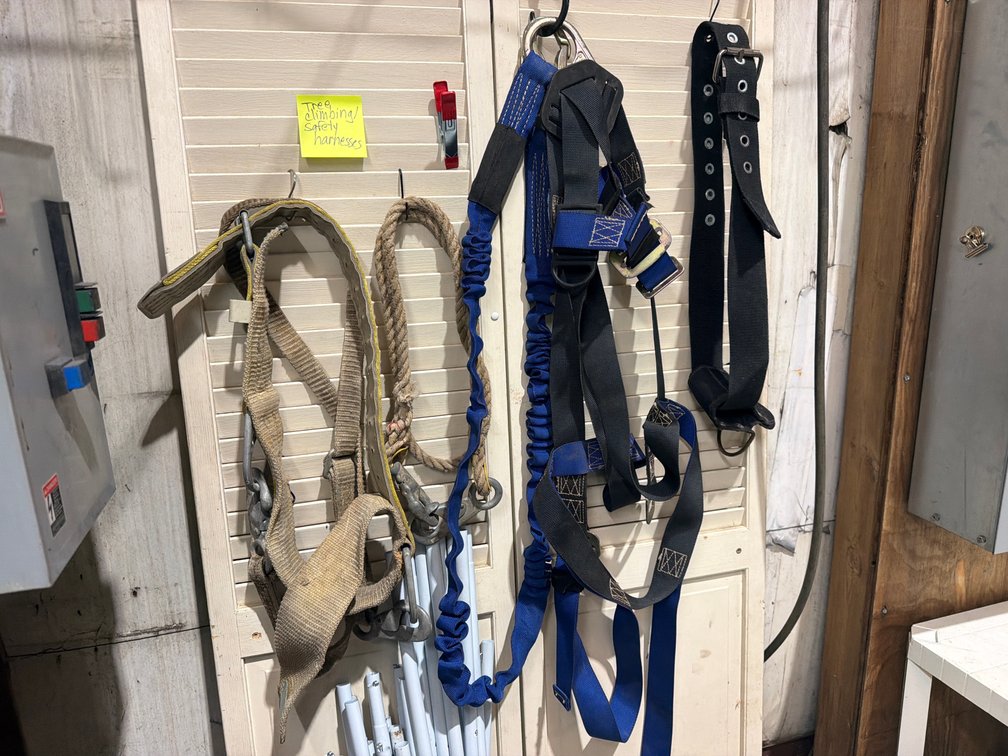 TREE CLIMBING/ SAFETY HARNESSES