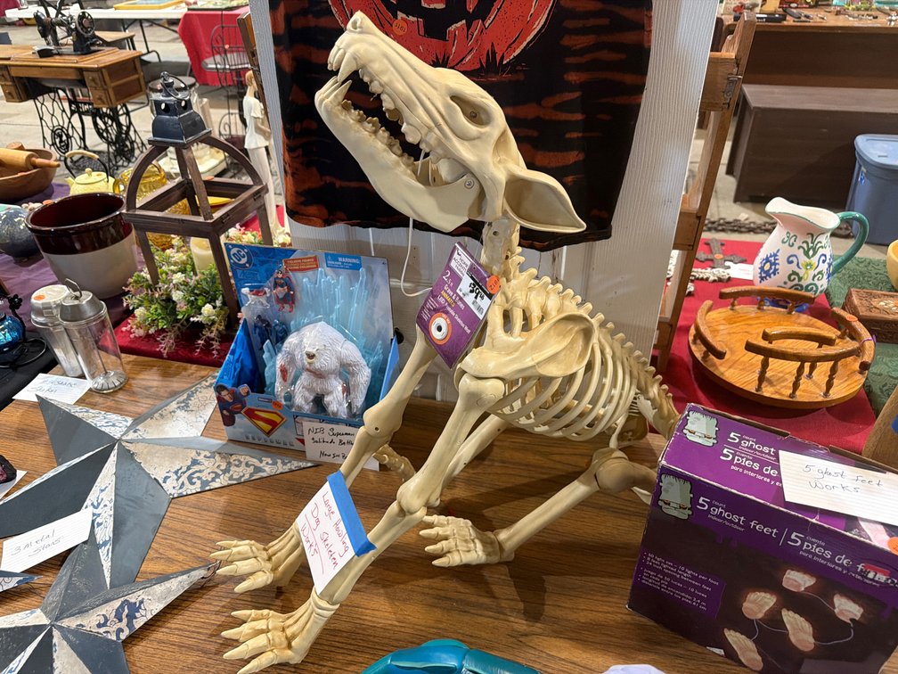 LARGE HOWLING DOG SKELETON