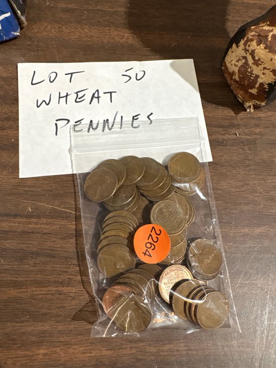 LOT OF 50 WHEAT PENNIES
