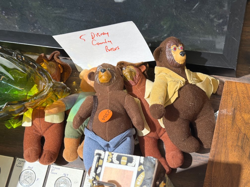 (5) DISNEY COUNTRY BEARS
