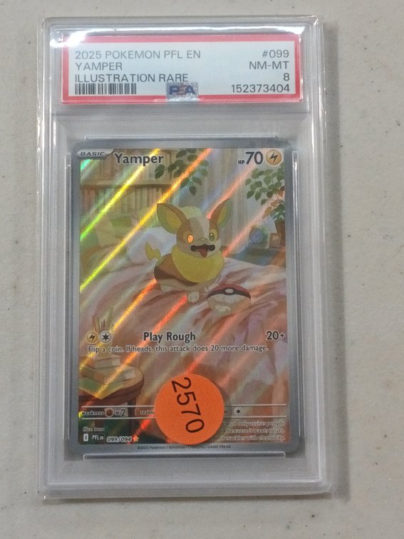 POKEMON YAMPERS ILLUSTRATION RARE CARD