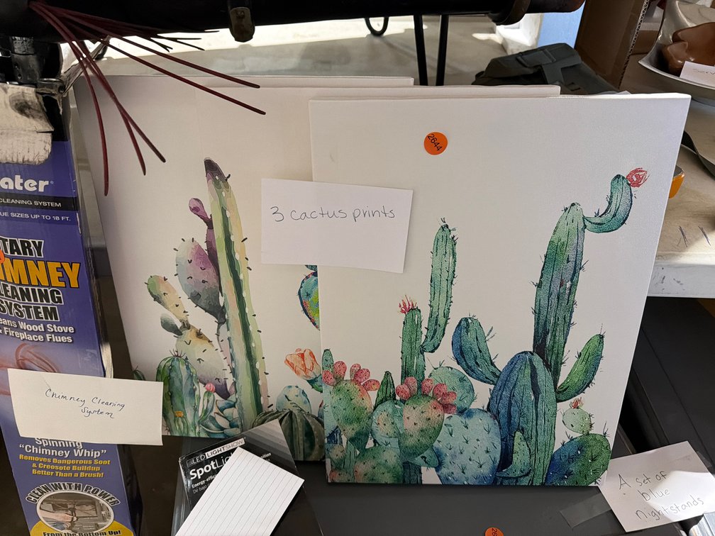 (3) CACTUS PRINTS