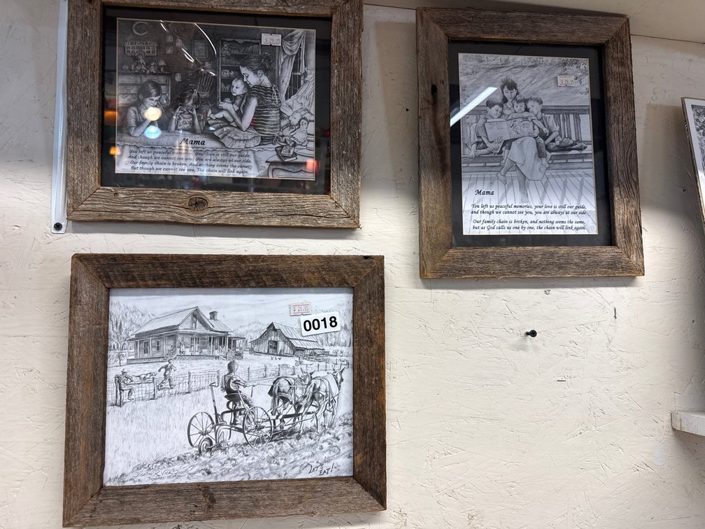 (3) FRAMED PRINTS