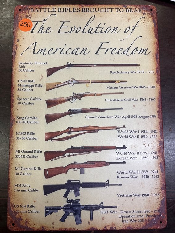 AMERICAN FREEDOM SIGN