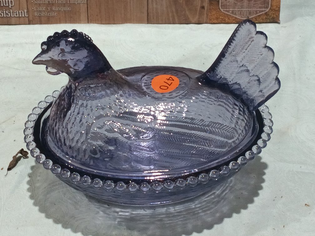 PURPLE LARGE HEN ON NEST