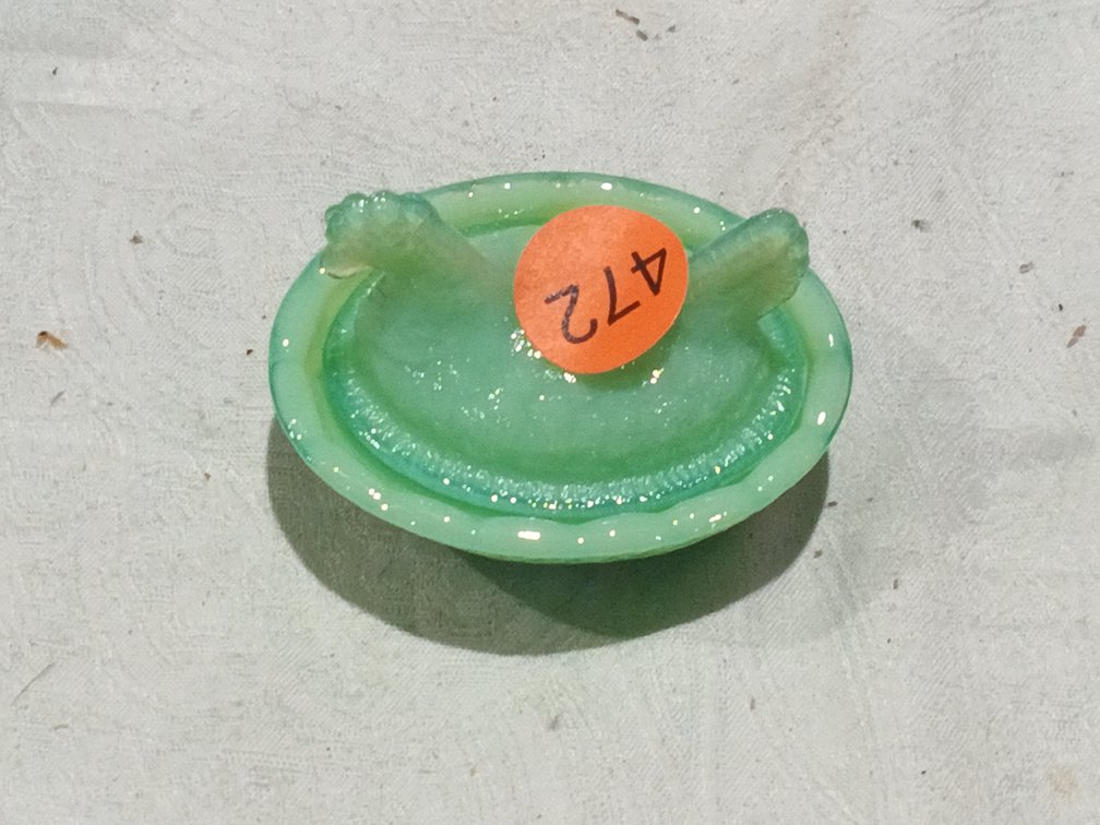 SMALL JADEITE HEN ON NEST
