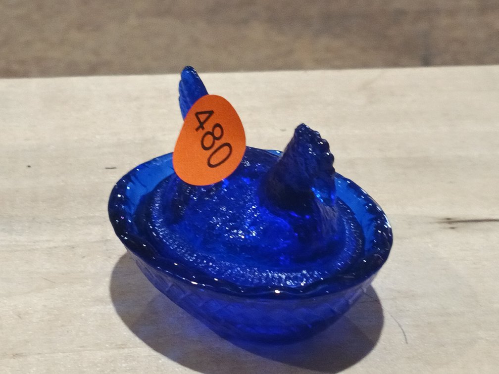 COBALT HEN ON NEST