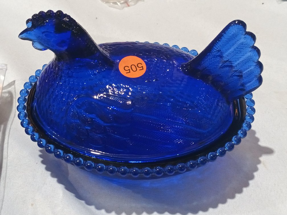 COBALT HEN ON NEST