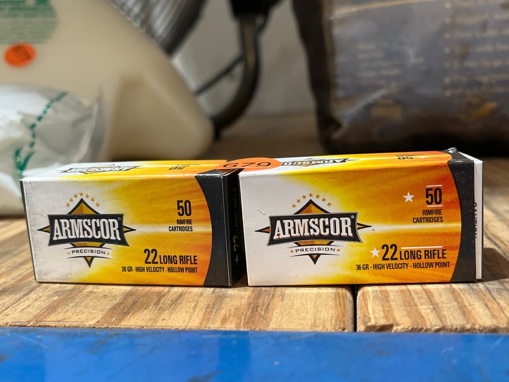 100 ROUNDS 22 CALIBER AMMO