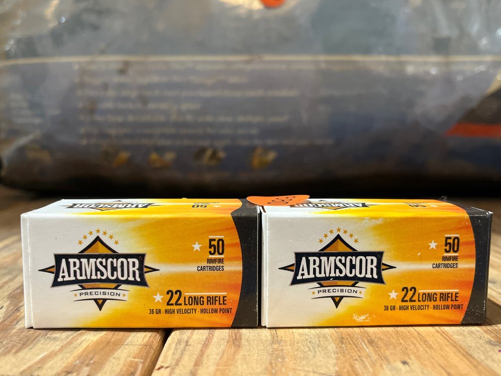 100 ROUNDS 22 CALIBER AMMO